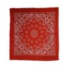 Major Imports Paisley Bandana