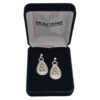 Montana Silversmiths Women's Calgary Stampede Teardrop Earrings