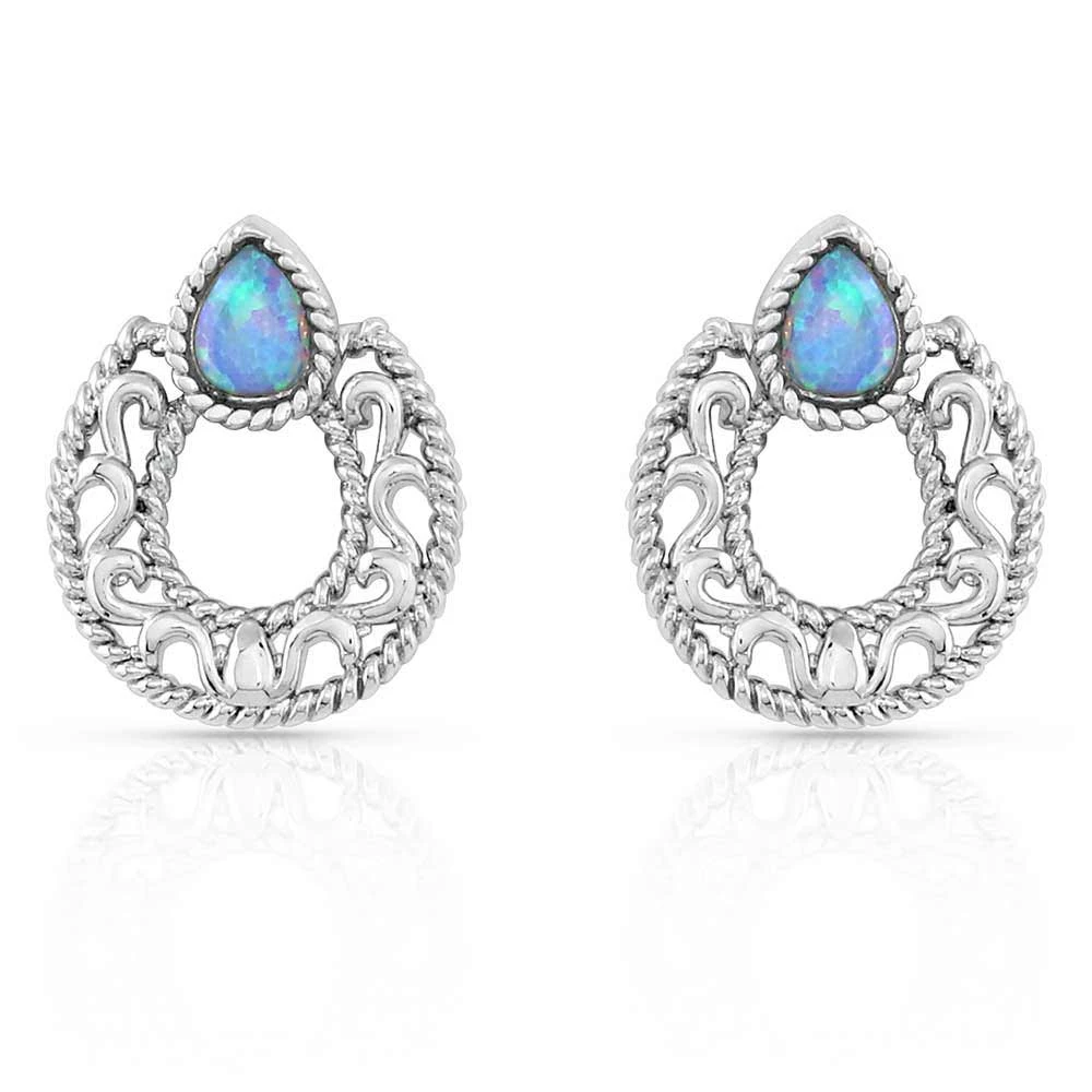 Montana Silversmiths Roped In Horseshoe Earrings